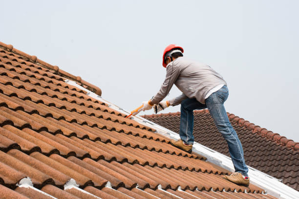 Best Cold Roofs  in Roswell, GA
