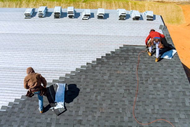 Best Roof Coating and Sealing  in Roswell, GA
