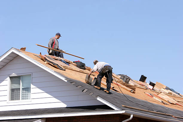 Best Roof Insulation Installation  in Roswell, GA